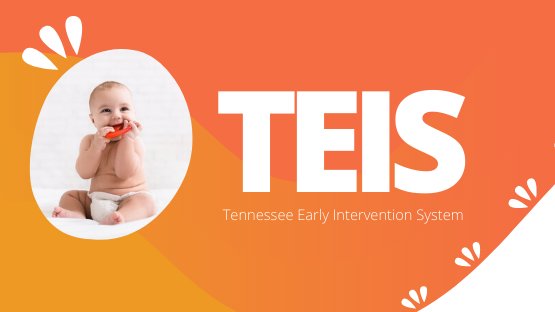 TEIS logo