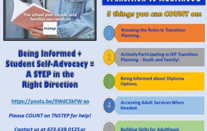 Transition to Adulthood Guide image