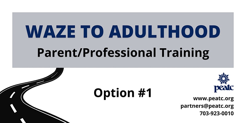 WAZE to Adulthood Options 1 image