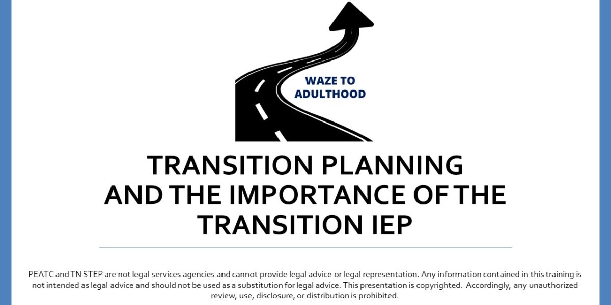 WAZE Transition Planning and the IEP image