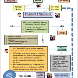Special Ed Child Flow Chart image