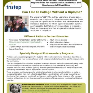 Transition Guide Further Education image