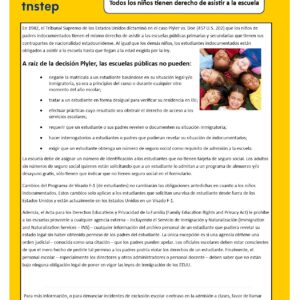 Protections for Undocumented Children SPANISH image