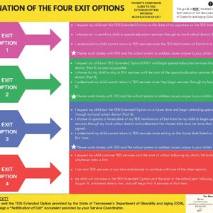 TEIS Extended Option Parent Comparison Guide