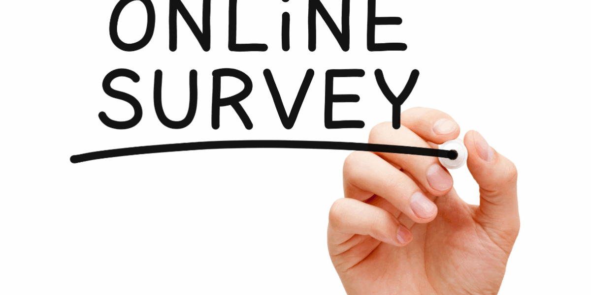 Online Survey Image