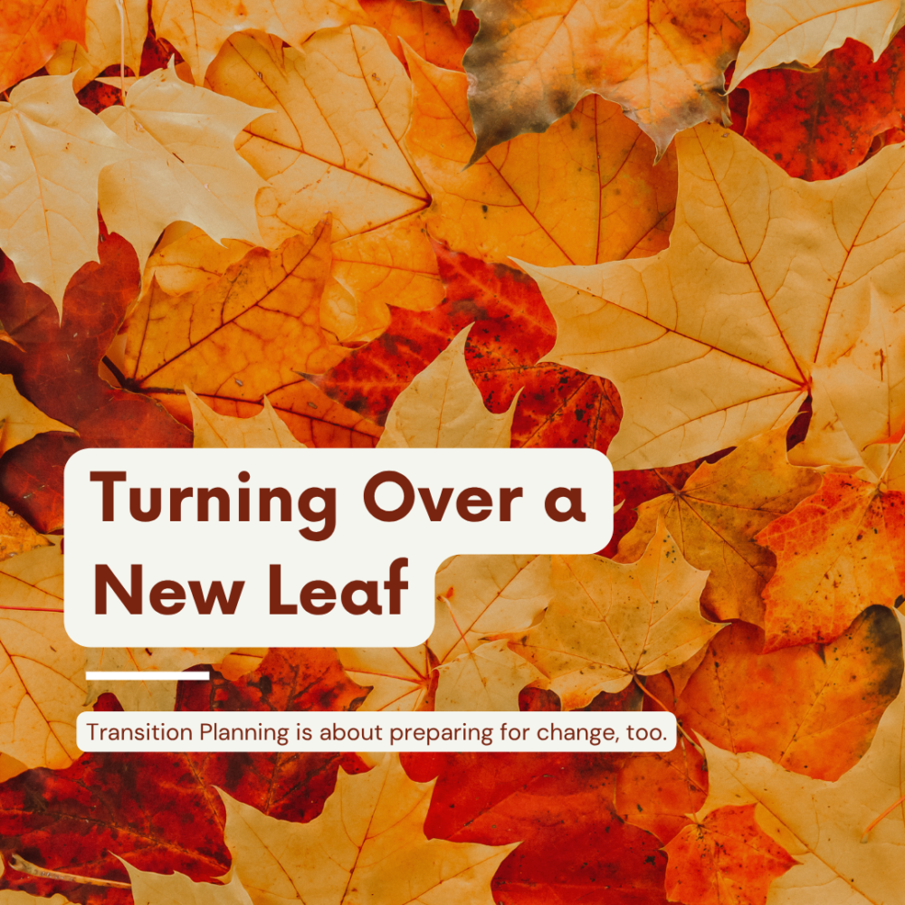 Turning Over a New Leaf image